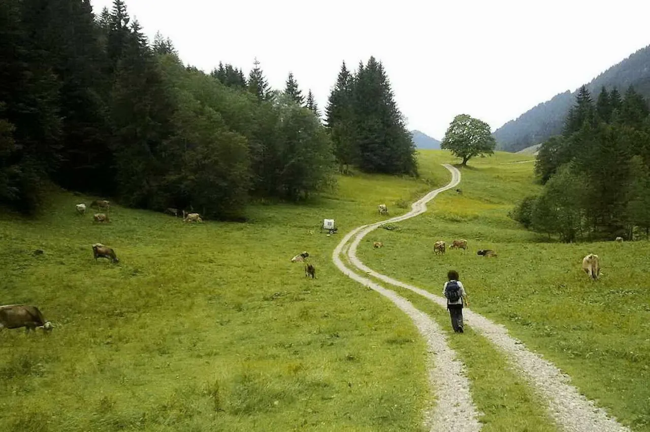 Ferienhaus Bausch Balderschwang Holiday home